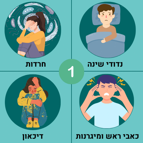 קטגוריה 1