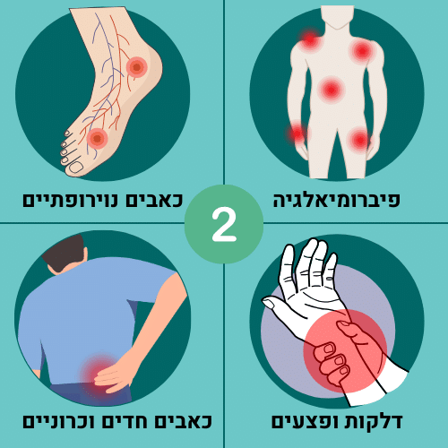 קטגוריה 2