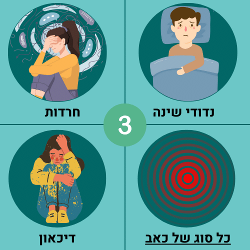 קטגוריה 3